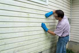 Best Vinyl Siding Installation  in Pinehurst, MA